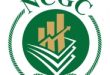 National Credit Guarantee Company Limited: Powering Inclusive Growth Through Risk-Sharing Guarantees